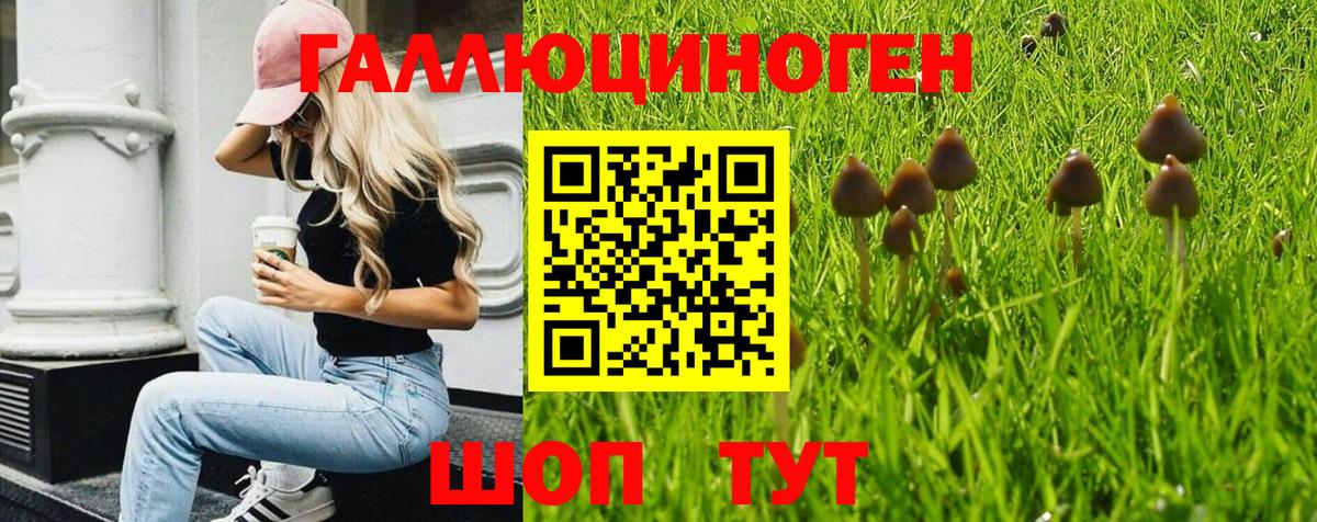 Псилоцибиновые грибы мицелий  Вход с VPN  Дербент 